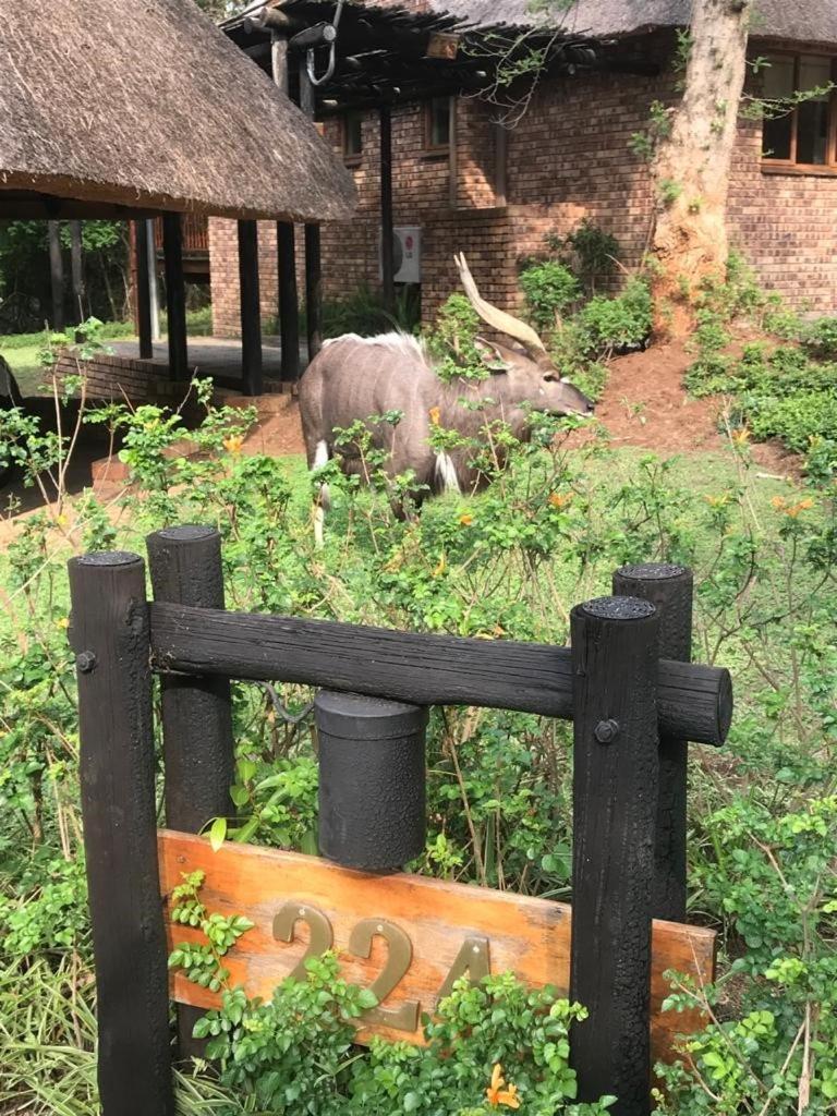 Kubu Chalet No 224 Hazyview Bagian luar foto